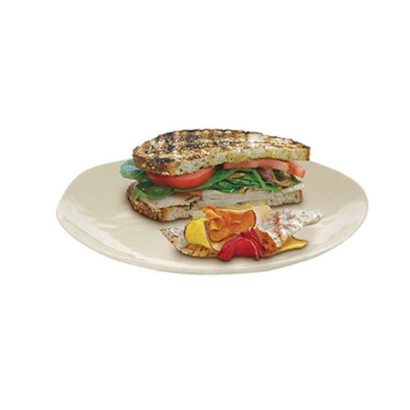 FOH DDP043NAB22 Platewise Organic Plate 10-1/2 Dia. Round