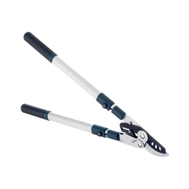 Bulldog BD3113TW Evergreen Extending Bypass Loppers
