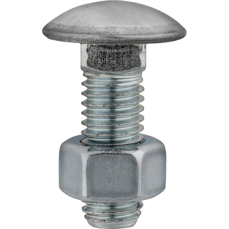 1/2-13 X 1-1/2 SS Capped Rnd Head Bumper Bolt