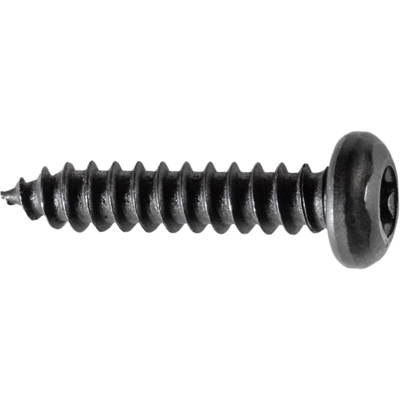 4.2-1.41 x 20mm Torx Pan Head T.S.